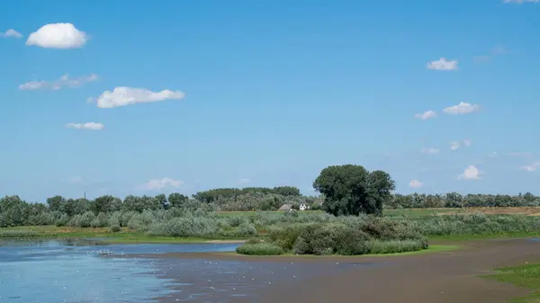 Lago Seco Uma Paisagem Polder Holandesa Ooijpolder Nos Países Baixos — Fotografia de Stock