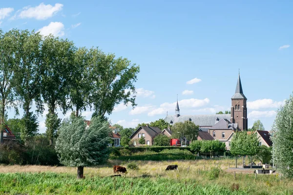 Tradycyjna Holenderska Wioska Ooij Chroniona Wałami Przeciwpowodziowymi Gelderland Holandia — Zdjęcie stockowe