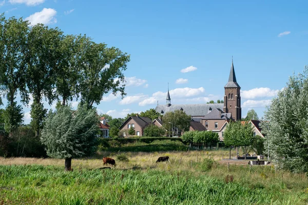 Hollanda Nın Gelderland Kentindeki Waal Nehrinin Taşmasını Önlemek Için Bir — Stok fotoğraf