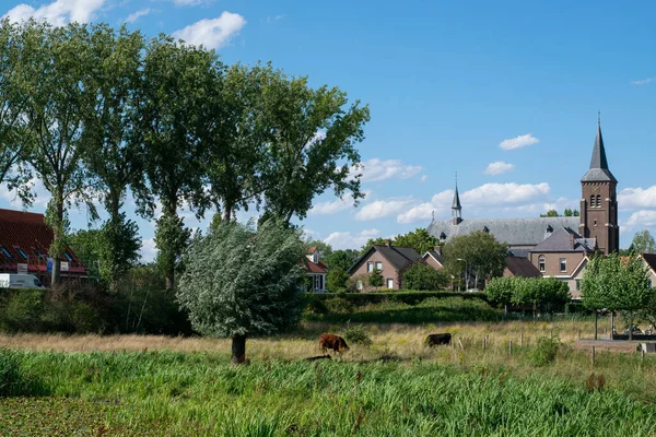 Tradycyjna Holenderska Wioska Ooij Chroniona Wałami Przeciwpowodziowymi Gelderland Holandia — Zdjęcie stockowe
