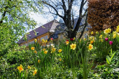 Borstay ilçe, Münih, Almanya şehrin inanılmaz bir alan, evler ve avlular