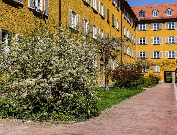 Borstay district, münchen, deutschland eine großartige gegend der stadt, häuser und höfe — Stockfoto