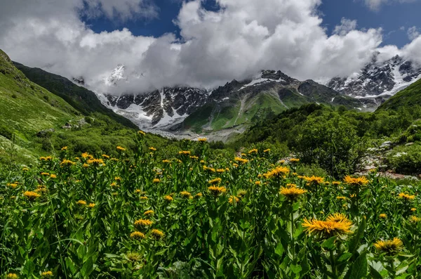 Грузия, Сванети, Трек от Ушгули до ледника Шхара. Beautiful view of valley, multi-colored, Nature and travel . — стоковое фото