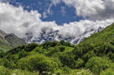 Georgia, Svaneti, Ushguli 'den Shkhara Buzulu 'na yolculuk. Vadi güzel görünümü, çok renkli, Doğa ve seyahat.