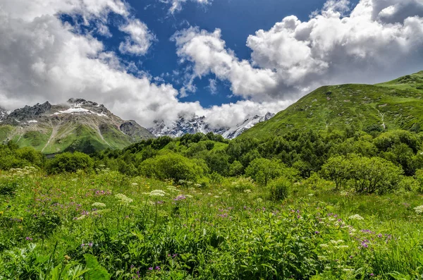 Grúzia, Svaneti, Trek-től Ushguli a Shkhara gleccser. Gyönyörű kilátás a völgyre, több színű, a természet és az utazás. — Stock Fotó