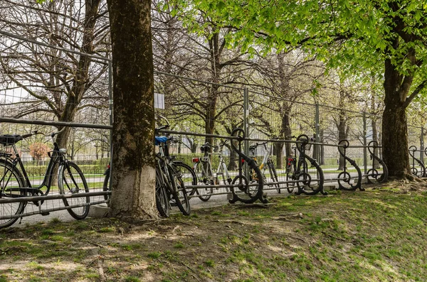 Many bicycles parked near the fence in the park — Stock Photo, Image