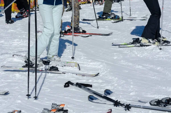 Катание Лыжах Невероятный Поклонник Снежного Солнца Горы — стоковое фото