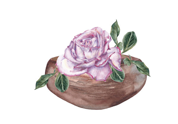 Ив Пиаже в деревянной чашке
.