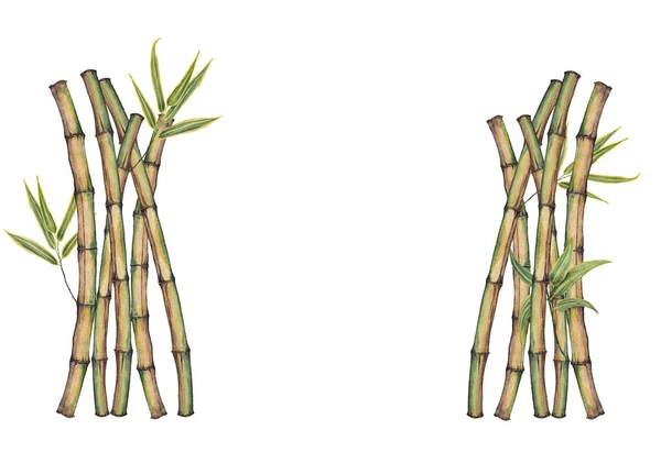 Gates moldura de bambu . — Fotografia de Stock