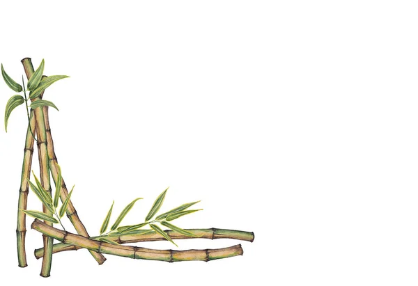 Corner bamboo frame.