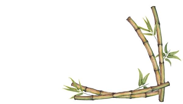 Corner frame with bamboo.