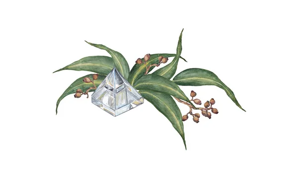 Composição com eucalipto e cristal aromático . — Fotografia de Stock