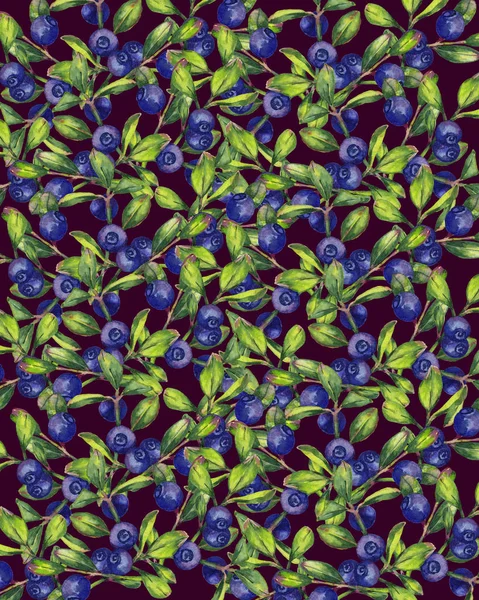 Blueberry pattern on dark maroon background.