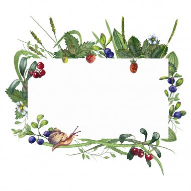 Yaz ormanı çilek ve otlar ile yatay çerçeve.