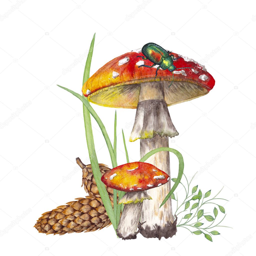 Composition with amanita mushrooms, fir cones, grass and green beetle.