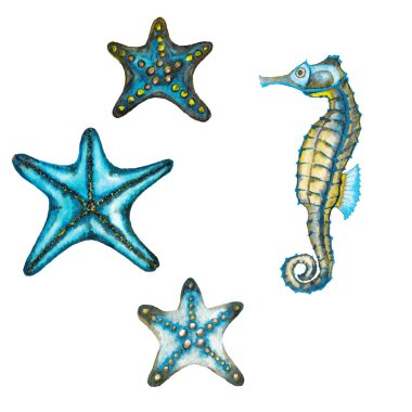 Üç deniz yıldızı ve denizatı.