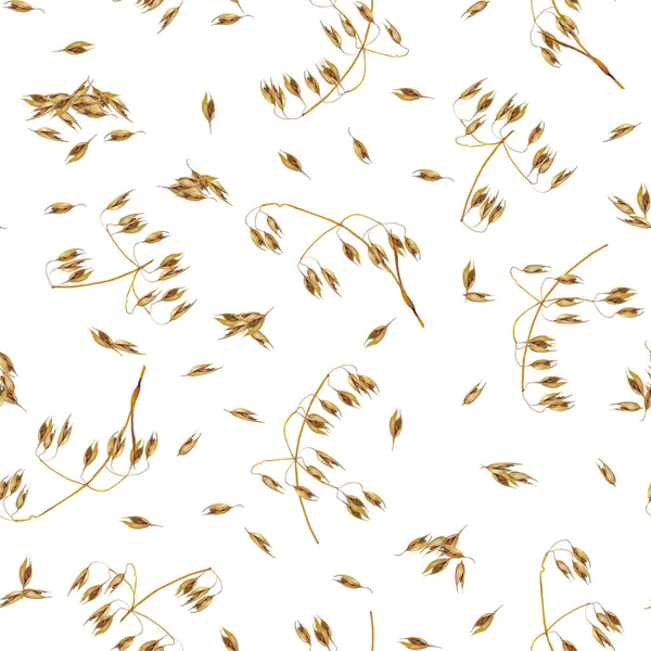 Seamless pattern with oat ears and grains.
