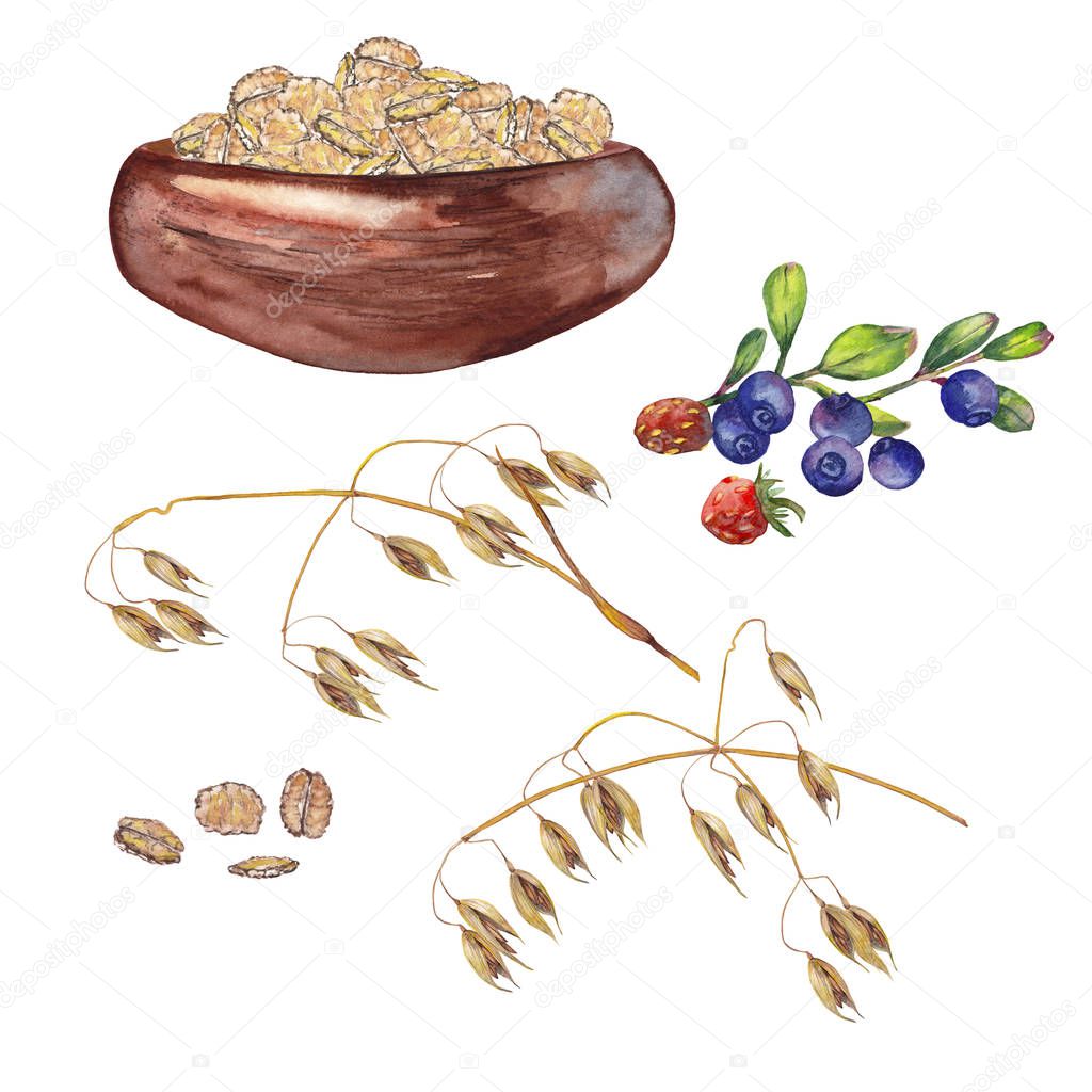 Set of oat flakes, berries, cup with porridge and ears.