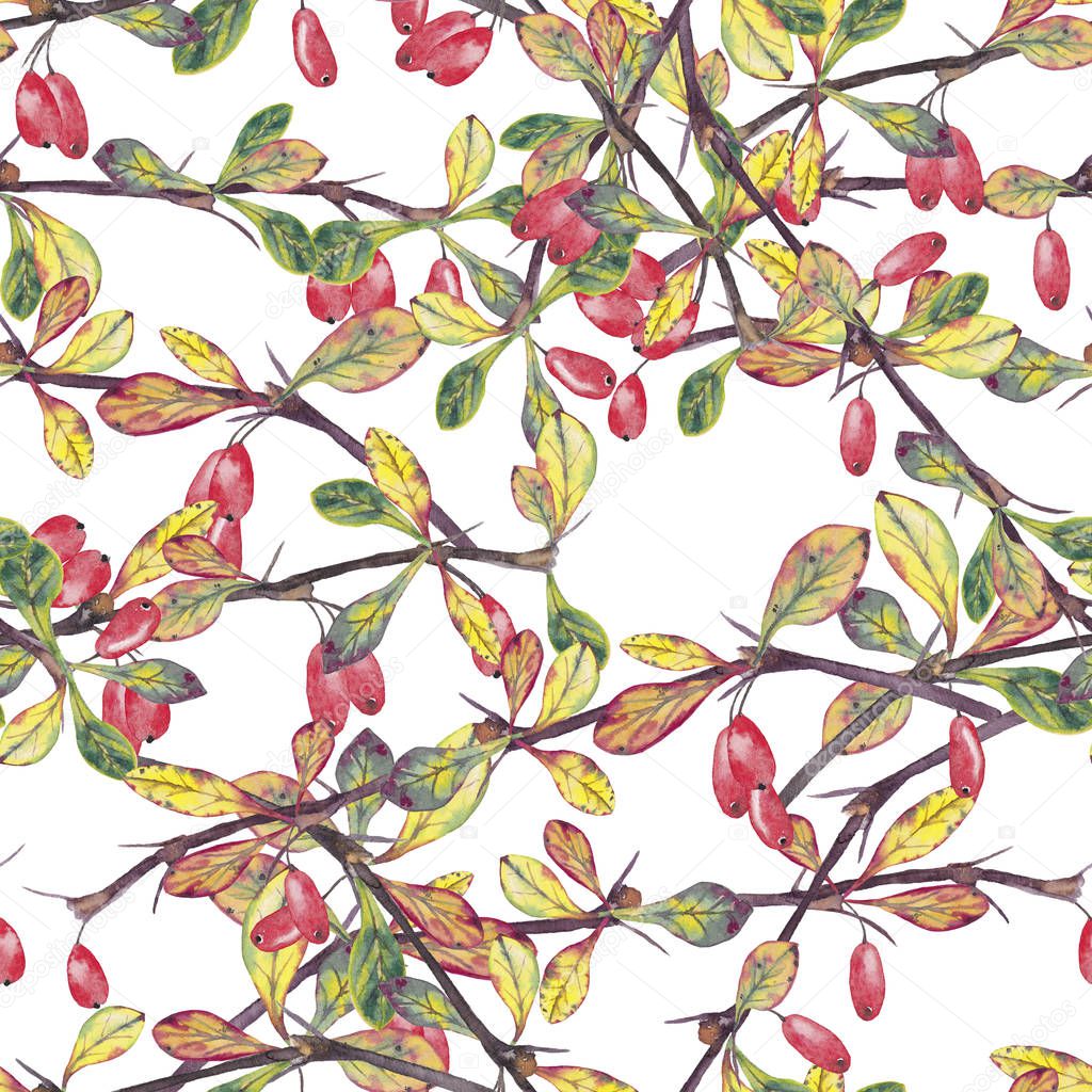 Seamless pattern with realistic autumn branches of barberry.