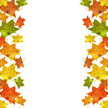 Akçaağaç yaprakları dikey kenarlıklı çerçeve.