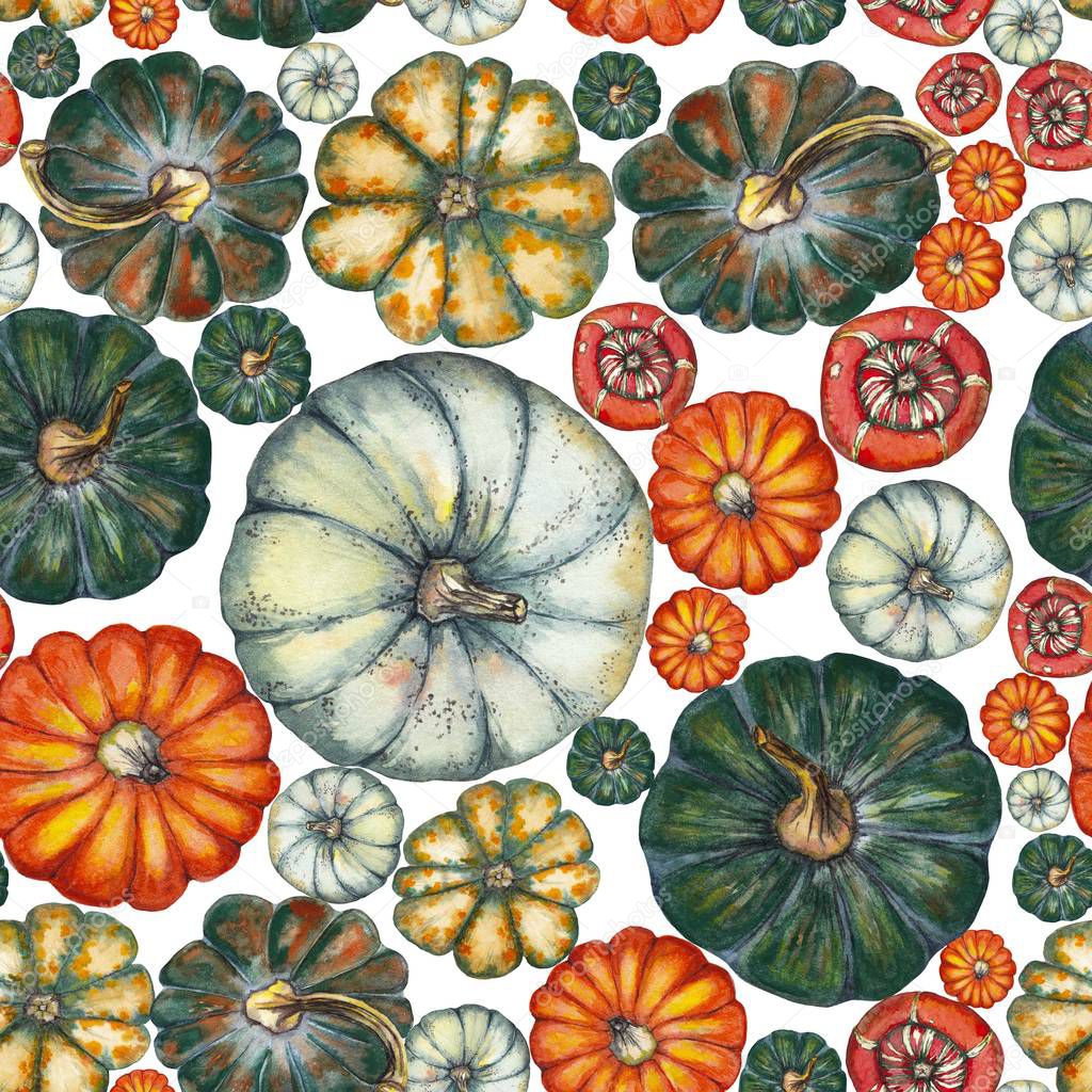 Pumpkins pattern. Top View.