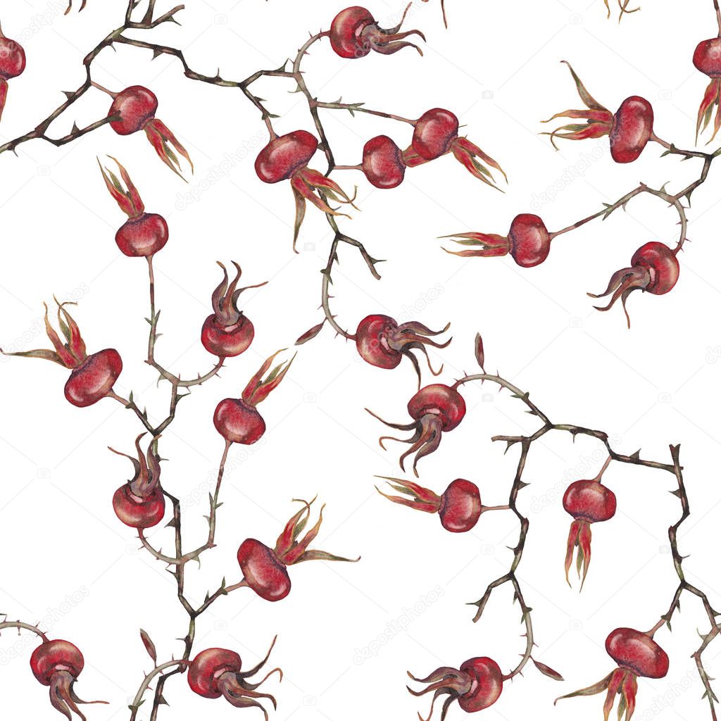 Seamless pattern of dry rose-hip branches.