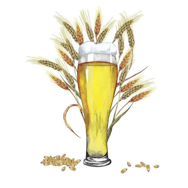Big glass of light beer with wheat ears and seeds.