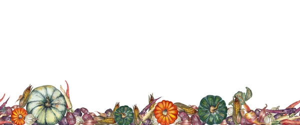 五颜六色的逼真南瓜 胡萝卜 甜菜和土豆的无缝边框 白色背景上的水彩手绘元素 收获假期和万圣节派对背景 — 图库照片