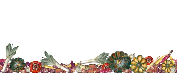 五颜六色的逼真南瓜 胡萝卜 洋葱和土豆的无缝边框 白色背景上的水彩手绘元素 收获假期和万圣节派对背景 — 图库照片