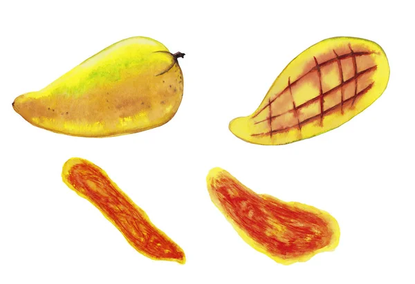 Realistické Barevné Thajské Mango Zralé Suchými Plátky Akvarel Malované Izolované — Stock fotografie