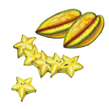 Dilimler ile gerçekçi renkli olgun carambola Kompozisyon. Suluboya el beyaz arka plan üzerinde izole elemanları boyalı. Egzotik tropikal taze meyve, gıda ve kokteyl dekor. Doğal starfruit.