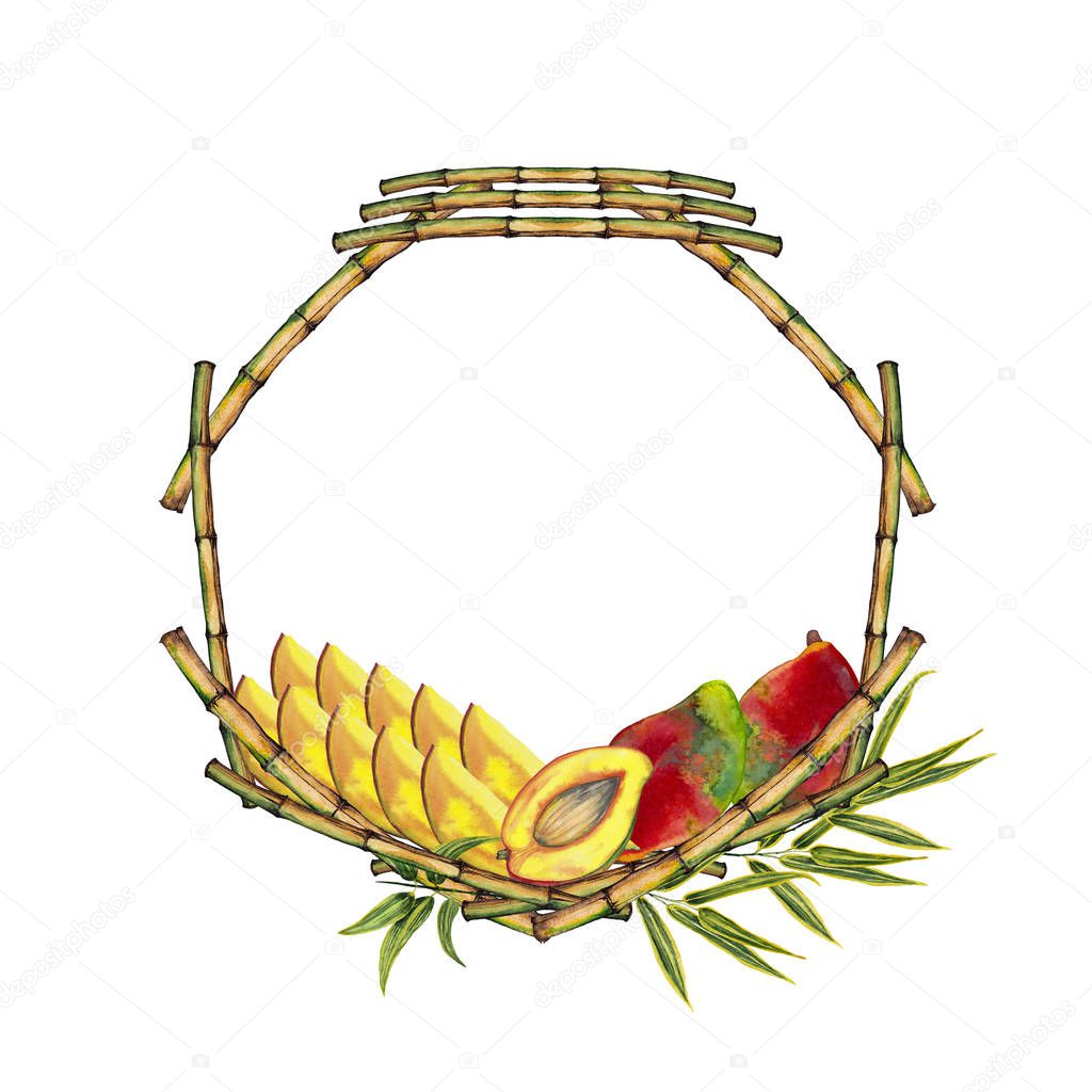 Watercolor hand painted elements on white background. Round frame of tropical fruits mango and bamboo sticks. Traditional asian ceremony decoration, sticker, menu banner, market card. 