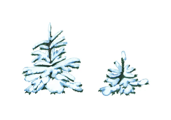 Dois Abetos Peludos Cobertos Neve Aquarela Pintados Mão Elementos Isolados — Fotografia de Stock