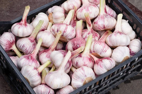 Garlic on the market. Lots of garlic in a black container for sale.