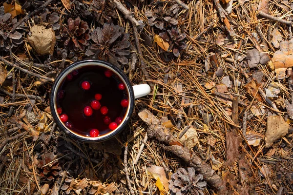 Cranberry tea in the forest on the background of cones and pine needles. Camping concept