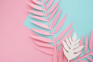 Pastel arka planda tropik kağıt yaprakları. Minimal parlak yaz kompozisyonu. Üst görünüm, düz görünüm, kopyalama alanı