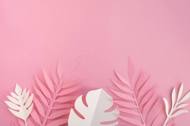 Açık pembe arka planda tropik yapraklar. Kağıt kesiği avuç içi ve canavar yaprakları. Pastel renklerde en düşük yaz kompozisyonu. Üst görünüm, düz görünüm, kopyalama alanı