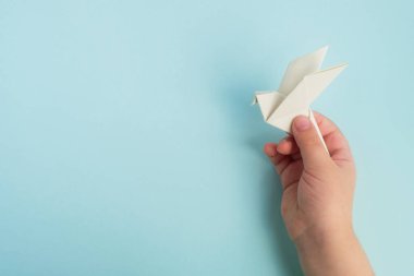 Açık mavi arka planda beyaz güvercin kuşu tutan çocuk elleri. Uluslararası barış, umut ve özgürlük günü. Üst görünüm, alanı kopyala