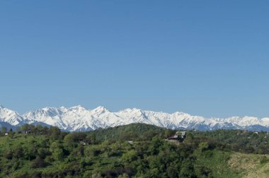 Mavi zemin üzerinde güzel yeşil illüstrasyon. Yeşil dağ ormanı manzarası. Güzel bir bahar manzarası. Dağ turizmi, yürüyüş. Güneşli bahar günü. Panoramik manzara.