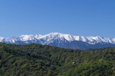 Mavi zemin üzerinde güzel yeşil illüstrasyon. Yeşil dağ ormanı manzarası. Güzel bir bahar manzarası. Dağ turizmi, yürüyüş. Güneşli bahar günü. Panoramik manzara.