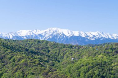 Mavi zemin üzerinde güzel yeşil illüstrasyon. Yeşil dağ ormanı manzarası. Güzel bir bahar manzarası. Dağ turizmi, yürüyüş. Güneşli bahar günü. Panoramik manzara.