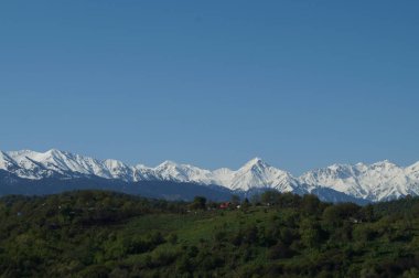 Mavi zemin üzerinde güzel yeşil illüstrasyon. Yeşil dağ ormanı manzarası. Güzel bir bahar manzarası. Dağ turizmi, yürüyüş. Güneşli bahar günü. Panoramik manzara.