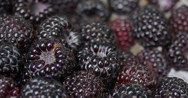 Şeffaf arka plan üzerinde Rustik böğürtlen cam çanak. Tatlı tatlı. Vejetaryen yemeği. Organik gıda. Çiğ vejetaryen gıda. 