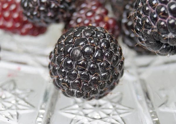 Rustic Blackberries Glass Dish Transparent Background Sweet Dessert Vegetarian Dinner — Stock Photo, Image