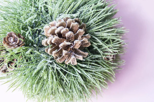 Pine Branch Cone Christmas Decoration Close Macro Christmas Background — Stock Photo, Image
