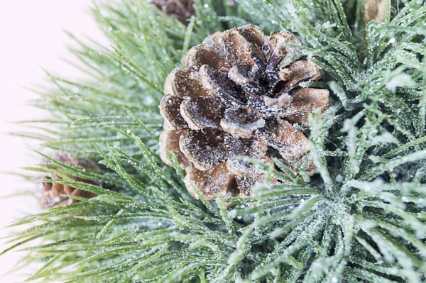 Pine Branch Cone Christmas Decoration Close Macro Christmas Background — Stock Photo, Image