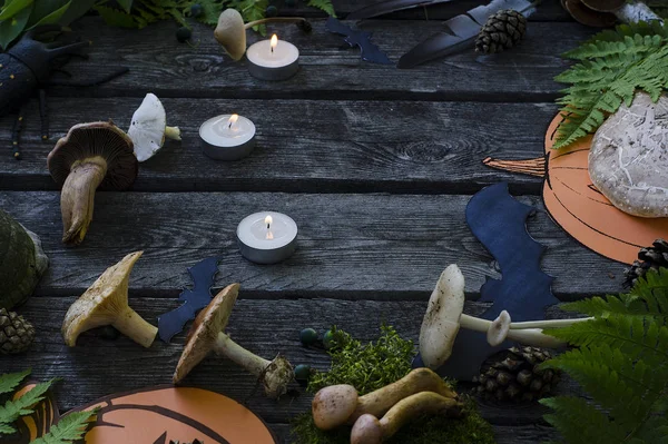 Halloween-Hintergrund - Zutaten für Zaubertrank: giftige Pilze, Beeren, Federn, Zapfen, Kerzen, Farn — Stockfoto