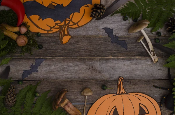 Halloween fond avec espace de copie - ingrédients pour la potion de sorcellerie : champignons toxiques, baies, plumes, cônes — Photo