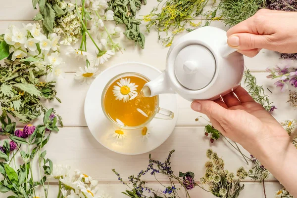 Kadın Papatya Çayıyla Bitki Çayı Dolduruyor Çay Töreni — Stok fotoğraf