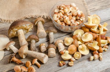 Masada taze çiğ orman mantarları var. Sonbahar mantarı toplama.